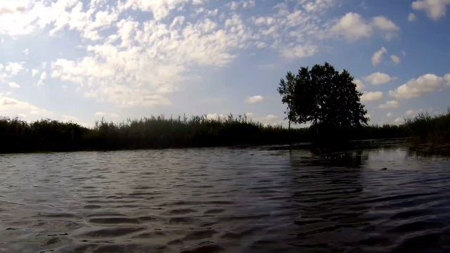 Северский Донец 2025 07 14 смотреть онлайн