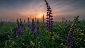 Новый рассказ из жизни . История мести, которая шокировала даже меня... Отношения