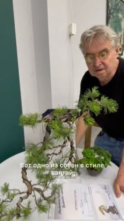 Юрий Кретов о выставке бонсай и формирование нового#бонсай #выставка #природа #мастер #саморазвитие