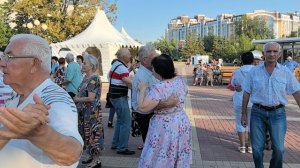 Жёлтые розы... 13.07.25...