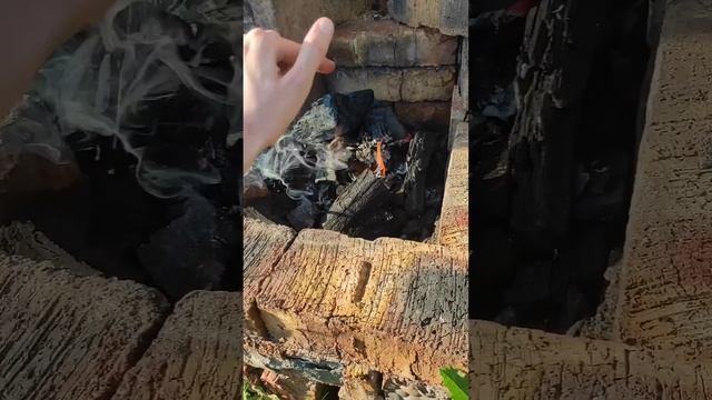 Как быстро разжечь угли без розжига #мангал#лайфхак#шашлык#угли