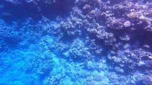 Мыс Фанар в Шарм-эш-Шейх. Море.