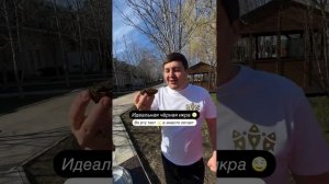 Во рту тает, в животе летает!🤤