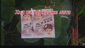 ХНА НА ВЕРХУШКЕ ЛЕТА