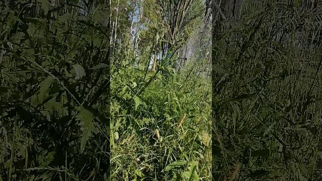 Заход на пляж