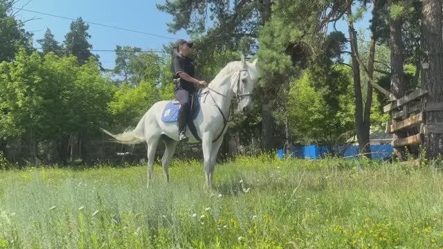 Кавалеристы патрульно-постовой службы заступили на дежурство в Курской области