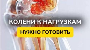 ❗️ТЕЛО НУЖНО ГОТОВИТЬ К НАГРУЗКАМ