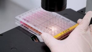 ПЯТЬ МИНУТ О МОСКОВСКОЙ ПРОМЫШЛЕННОСТИ-18. ВетБиоХим