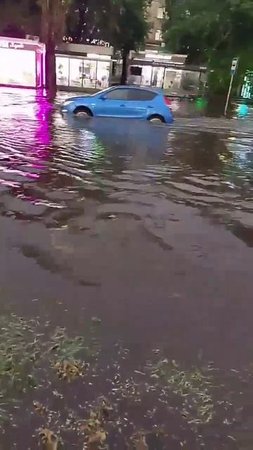 Много затопленного Воронежа не бывает, согласны? 🫢