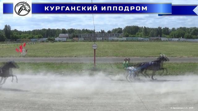12.07.2025 - Заезд 5: Приз "ГИБРИДА" для лошадей рысистых пород 3-х лет