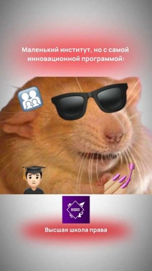 Институты МГЮА как мемы
