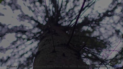 Смотреть видео онлайн