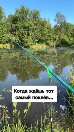 Сколько ты готов ждать?!