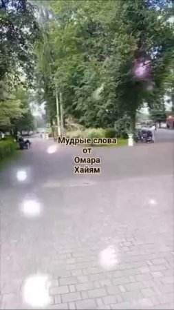 мудрые слова