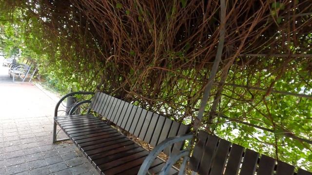 Анапа прогулка по ул. Тургенева 14.07.2025 г.