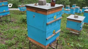 Земля Приморская / Идут в лидерах / 12.07.25