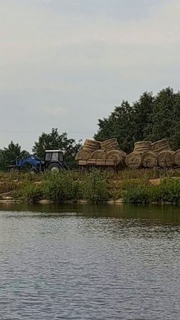 Синий трактор везет сено две тележки