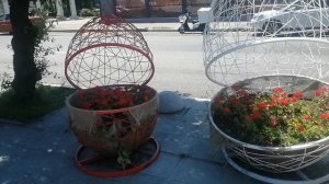 Прогуляемся?