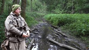 КОПНУЛ ЗЕМЛЮ И ПОСЫПАЛАСЬ ЧЕШУЯ