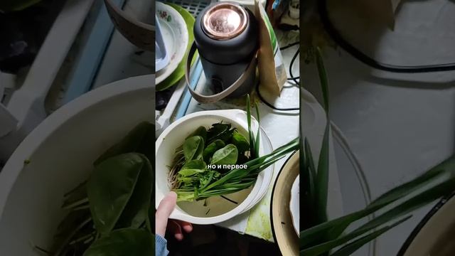 Проверенный лайфкак#мамаидочь#лерахаас#влог#еда