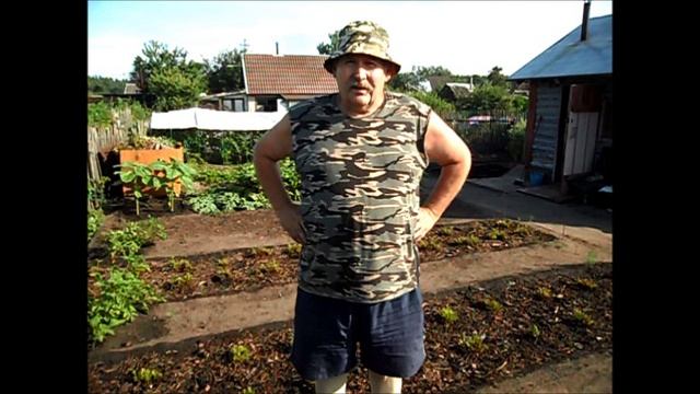 Обрезка клубники