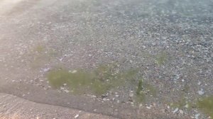Закат на Белгород-Днестровском лимане, Затока
