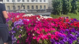 Казань сегодня. По улицам