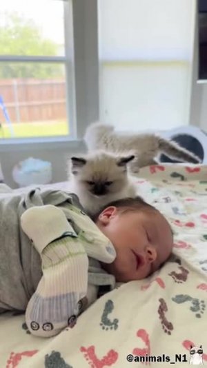 Подпишись 👉 https://vk.com/ykrasheniy_iz_kamny