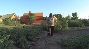 ЖИВЕМ В ДЕРЕВНЕ!ВСЕ РАБОТЫ ХОРОШИ,ВЫБИРАЙ НА ВКУС!!СЕГОДНЯ ДЕНЬ ОГОРОДНИКА!!!