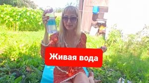 Живая вода.Кораловая вода.