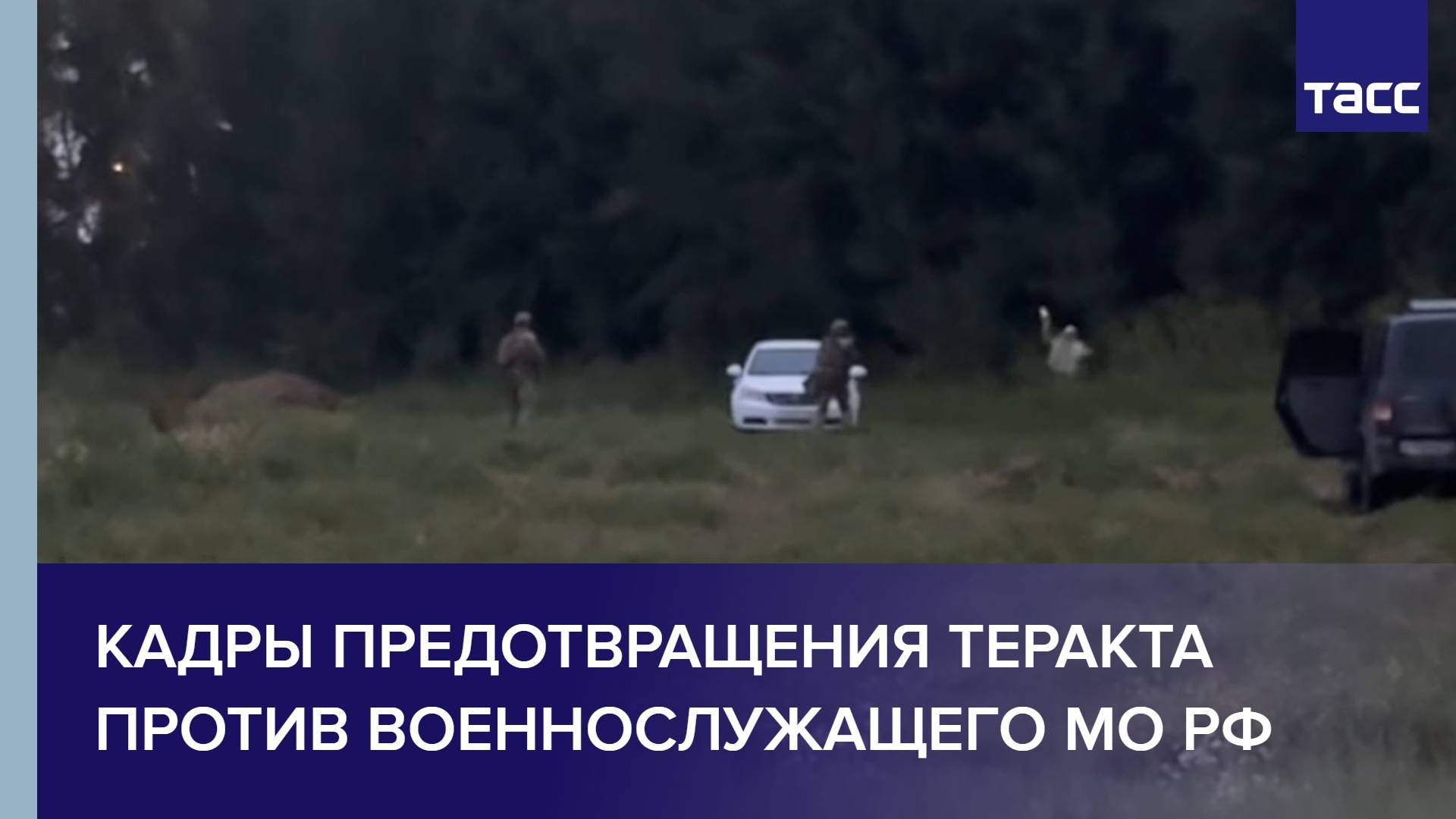 Кадры предотвращения теракта против военнослужащего МО РФ