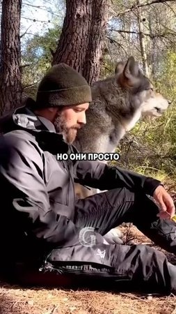 Животных получают многие, но любят их лишь те, для кого они семья!
