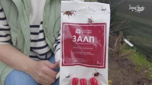Защита участка от иксодовых клещей, ос, шершней и других насекомых-вредителей