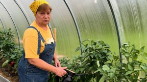 Супер витамины для перца.