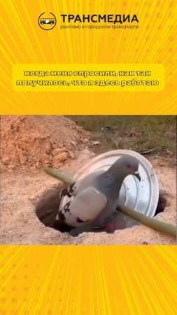 случайно