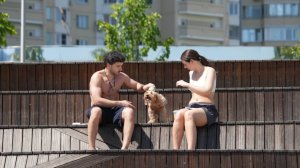 Асфальт плавится: центральные регионы РФ остаются во власти жары