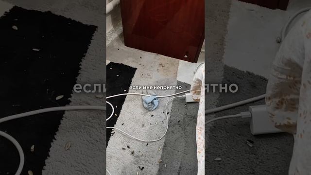 Завидую тем, кого обеспечили жильём, Вам сэкономили 10ки лет...а мне не светит #мамаидочь#своежилье