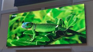 Технологии в образовании: LED экран в университете МГИМО, город Одинцово.