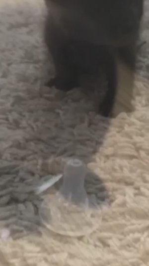 А так мило все начиналось...