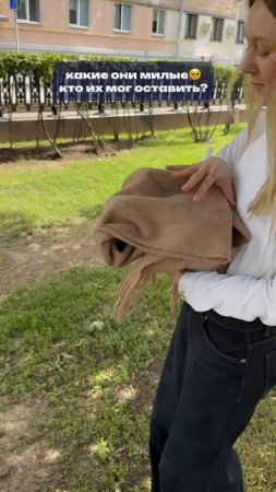 Ну правда же, милашки🥹💕
