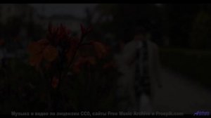 Природа и музыка танцуют в этом видео в одном ритме - Sweet N Juicy-Haskins-Mar 2018-LIVE -- Sweet N