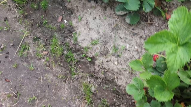Собираюсь в дорогу ,встреча .