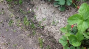 Собираюсь в дорогу ,встреча .