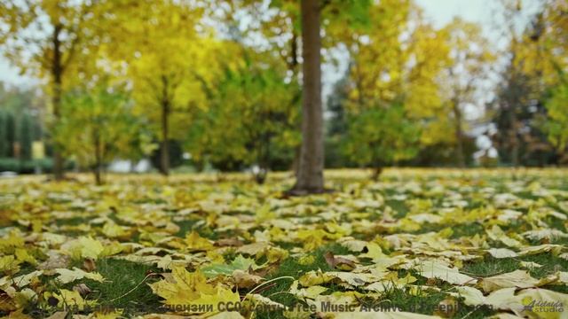 Клип, созданный искусственной нейросетью - новое слово в искусстве! - Splish Splash -- SUPERARE -- I