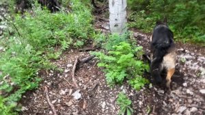 Сплав по горной реке