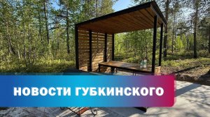 Новые мангальные зоны