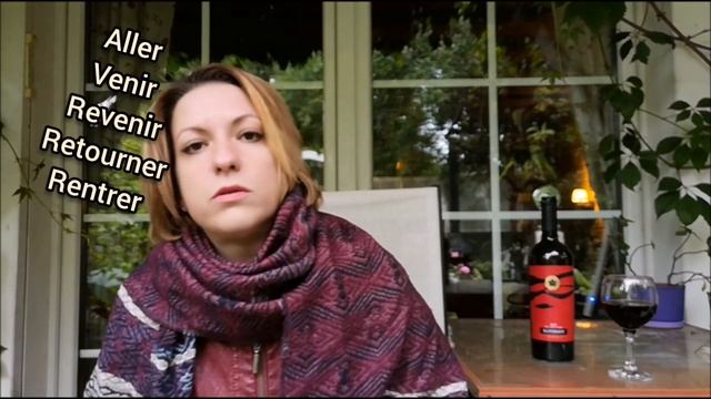 Как мне вернуться во Францию? |  Видео уроки французского языка