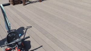 Влог. Ижевский зоопарк