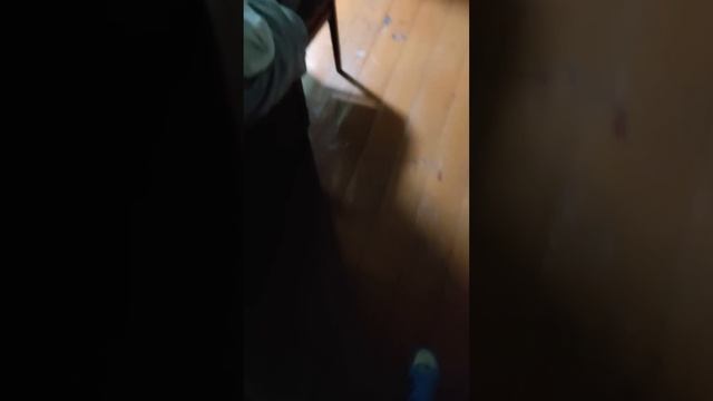 У Мамы много правил