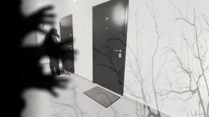 ФЛЕШКА ЧУМНОГО ДОКТОРА (ТРИЛЛЕР) Trill